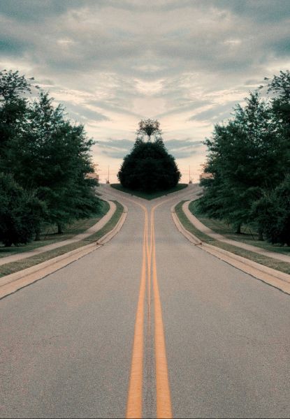 two roads hai jo bata rehe hai kis raste pr chalna hai Whole Life Insurance vs Term Insurance